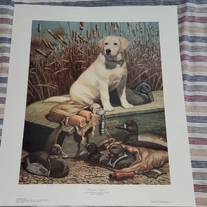 Golden Retriever Edition Print By Mia Lane, 136 Of 480, "Breed For A Purpose"